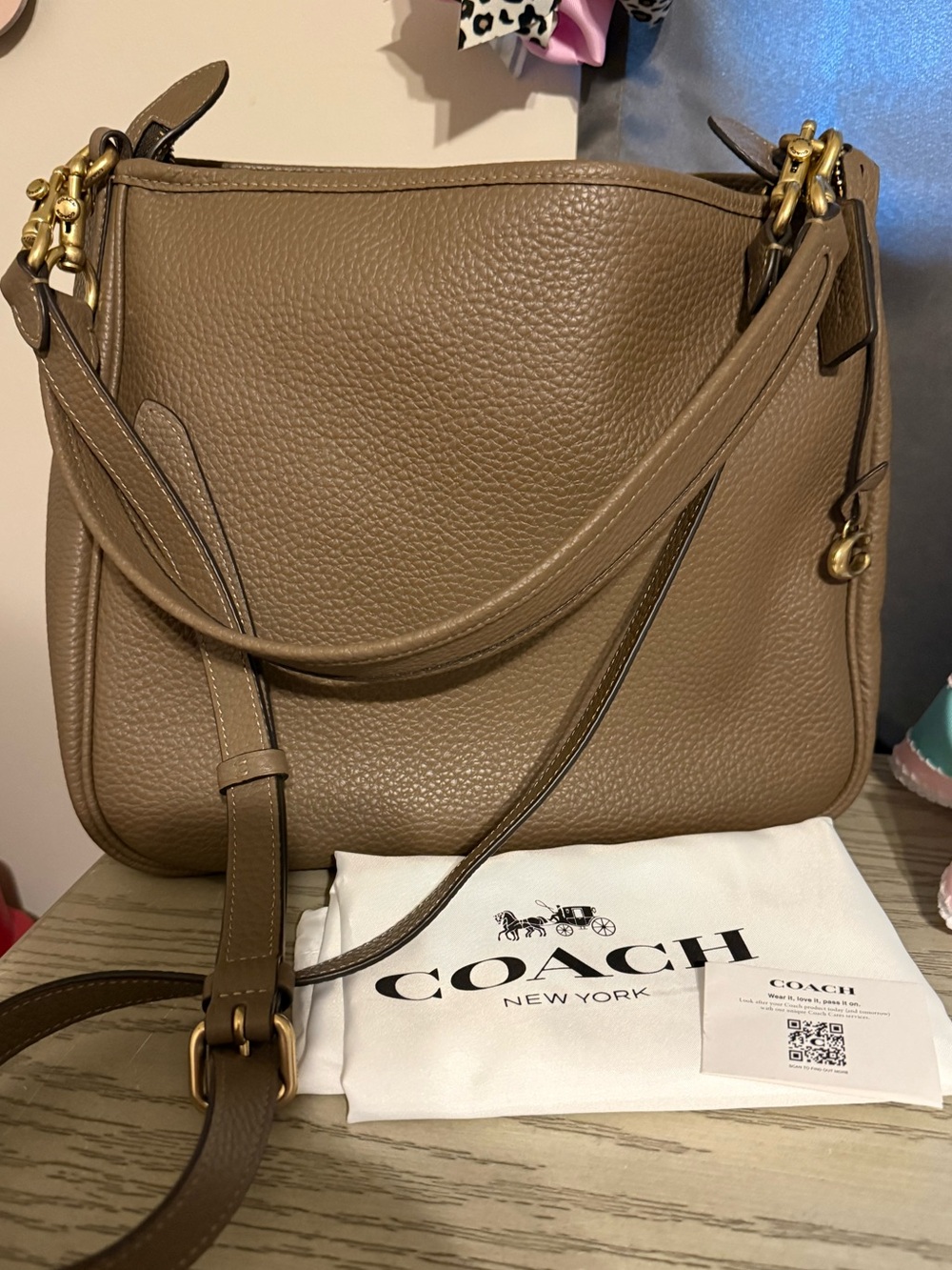 Coach Cary Pebbled Leather Bag